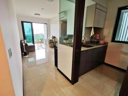 Normanton Park (D5), Apartment #521080711